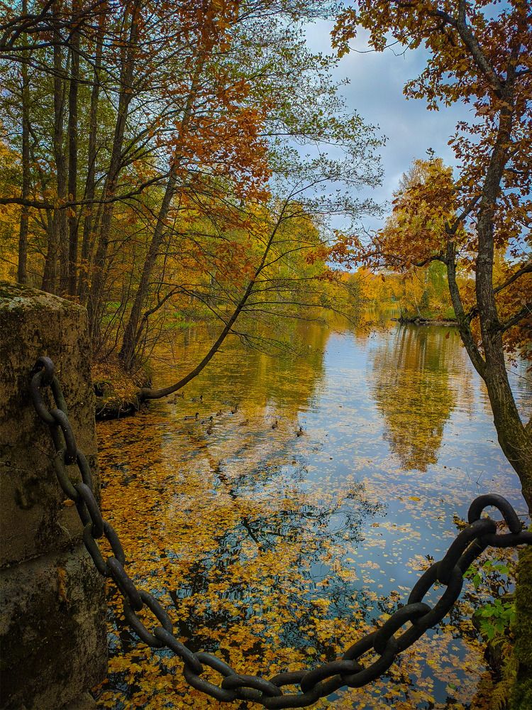 Краски осени