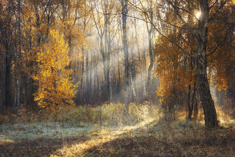 Photograph by Максим Мозжухин