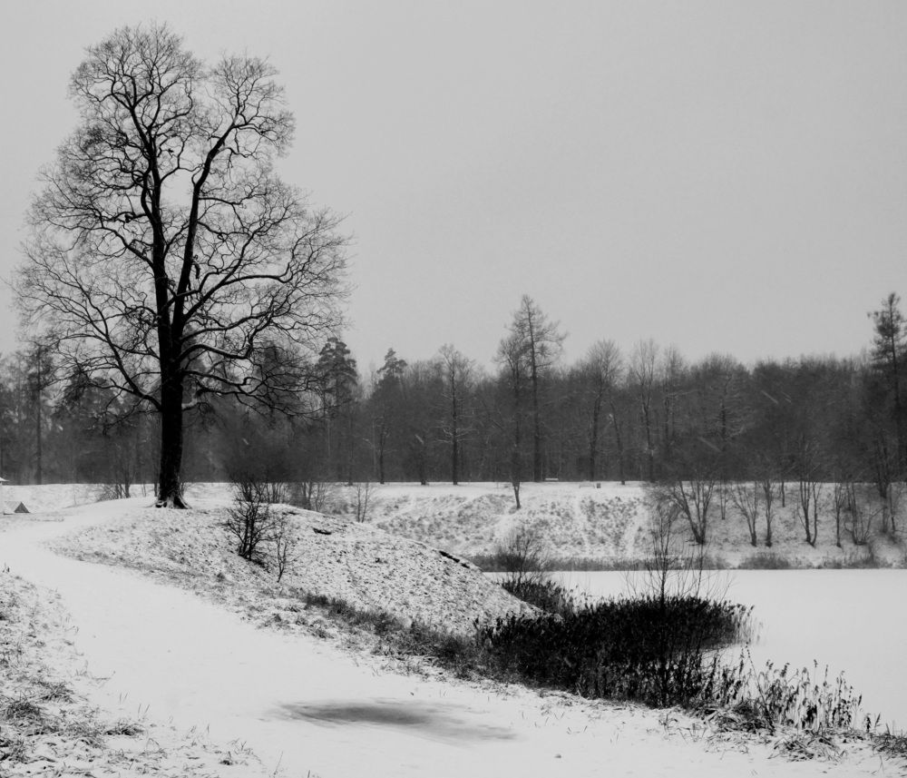 графика зимы