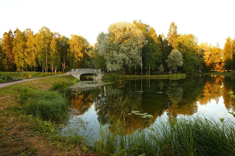 бывает летом небо на закате исчезает