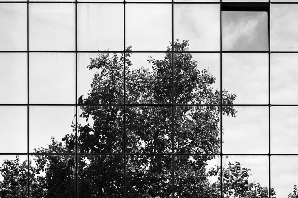 Photograph by DidierHg