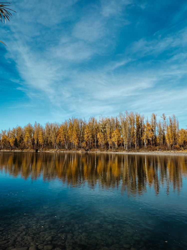 Photograph by Ольга Кашлева