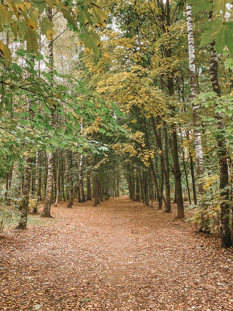 Photograph by Виктория Лаур