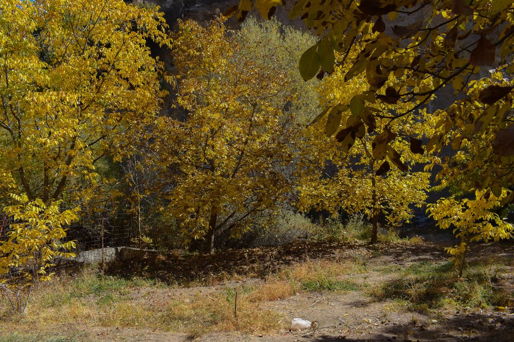 Photograph by Fatemeh Jamalian