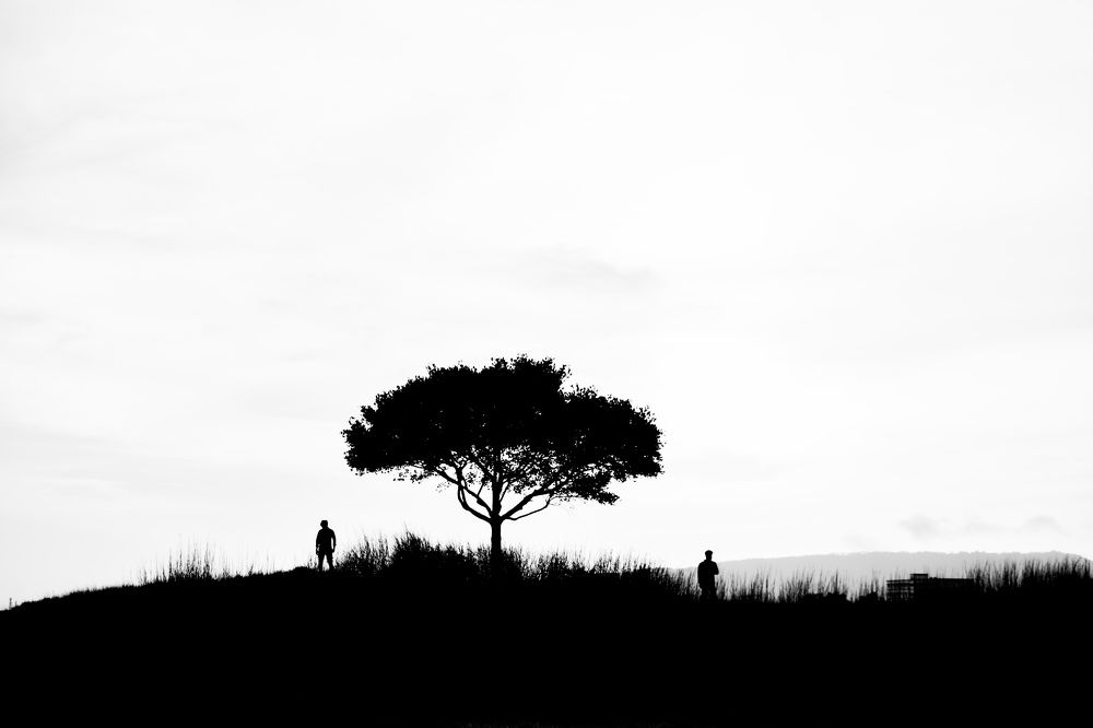 Photograph by Sreerag k k