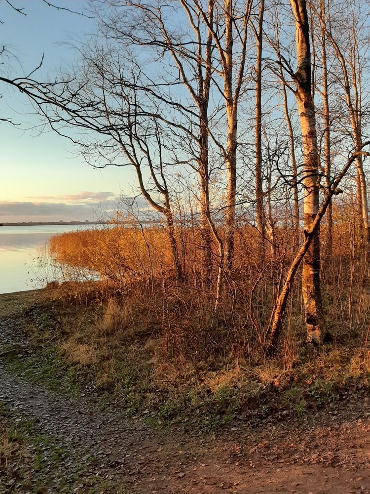 Photograph by Olga Smirnova