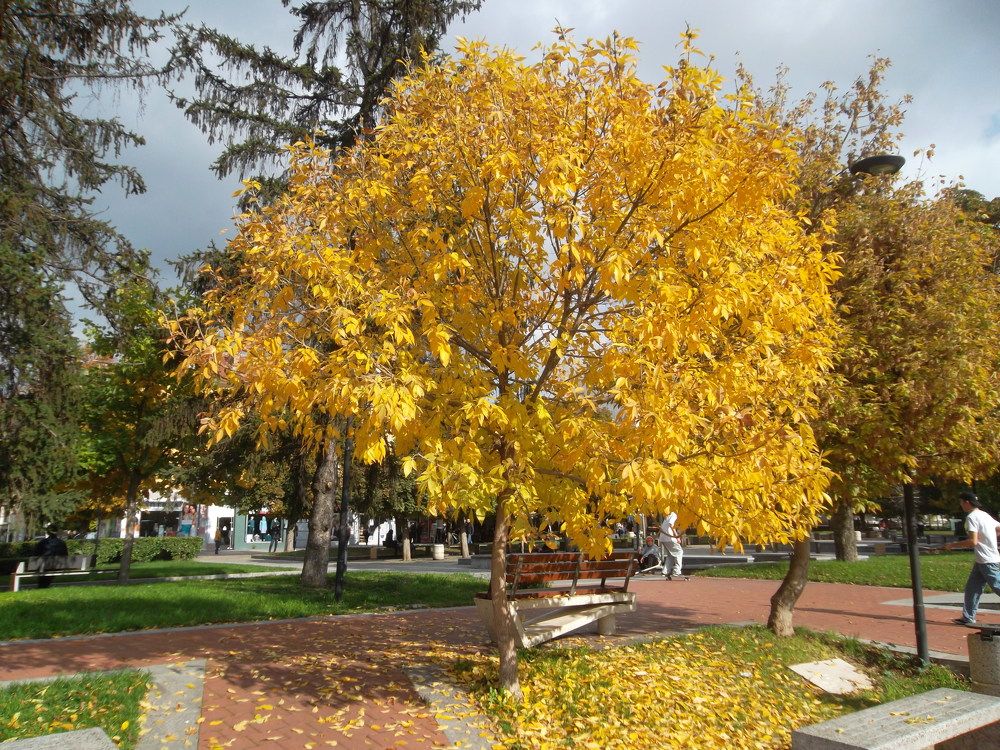 Photograph by Olga Vatkova