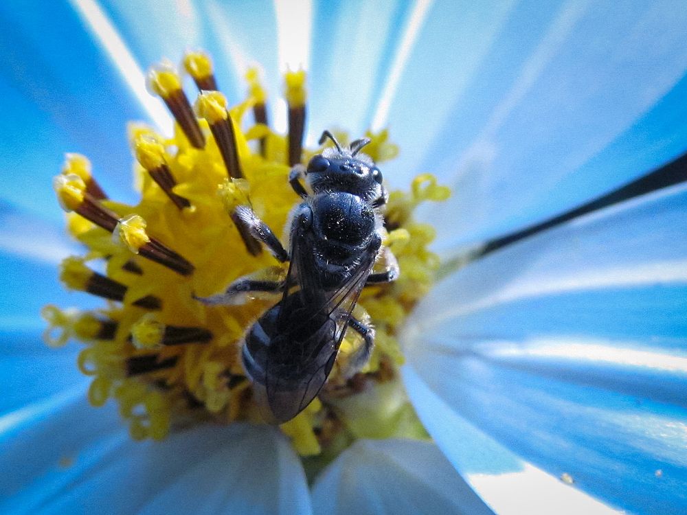 Photograph by SANDIP BANERJEE