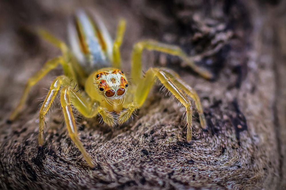 Photograph by SANDIP BANERJEE