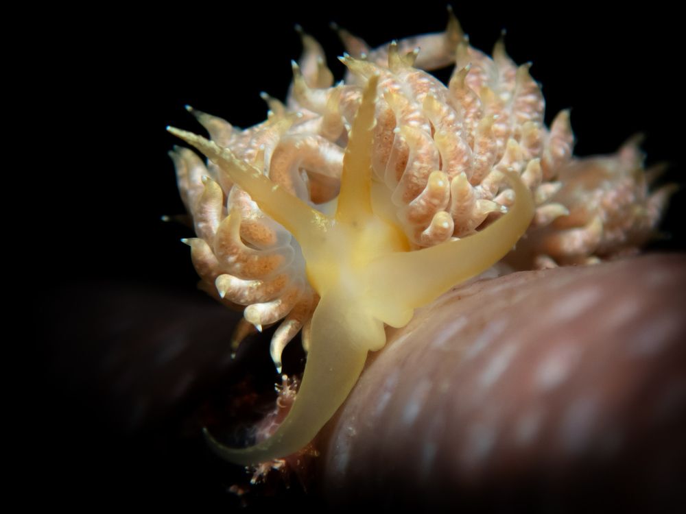 Photograph by Kateryna Terets