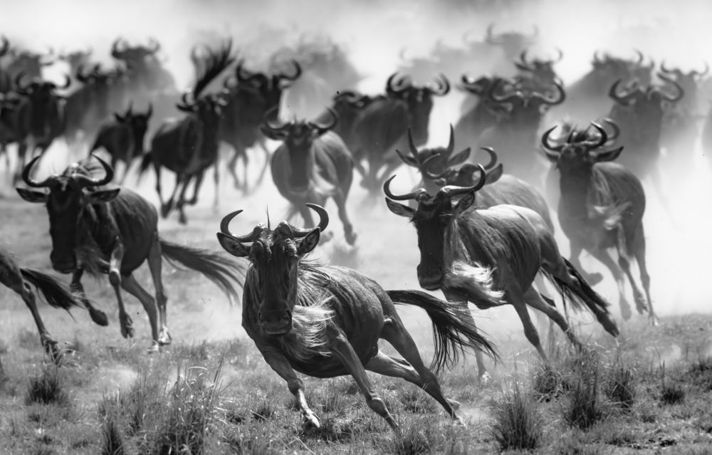 Photograph by Vignesh Ramachandran