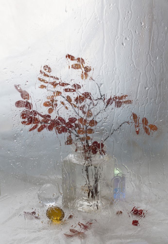 Фотография автора Марина Кулакова