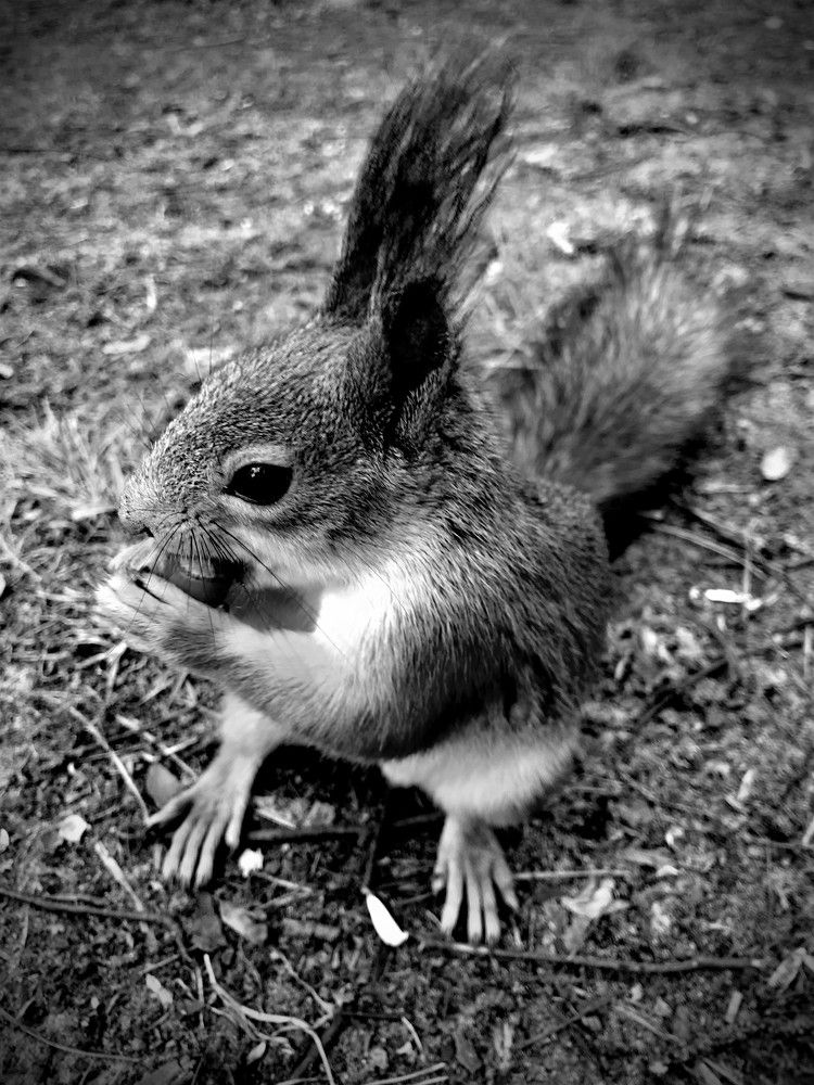 Photograph by Михаил Некрасов