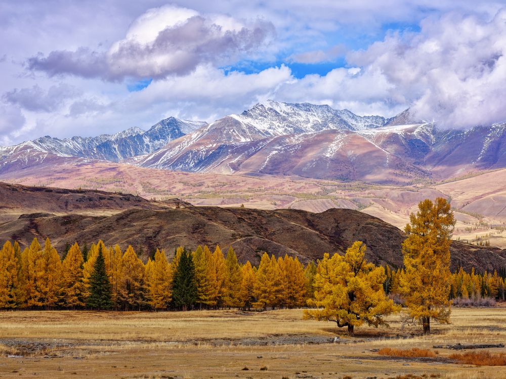 Photograph by Иван Рочев