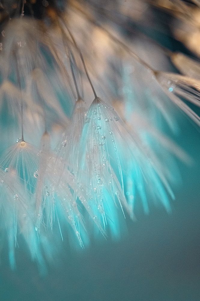 Photograph by Nadezda Zavitaeva