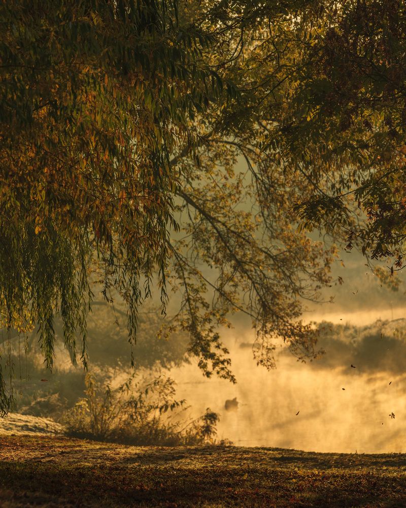 Photograph by SIARHEI RABCHONAK