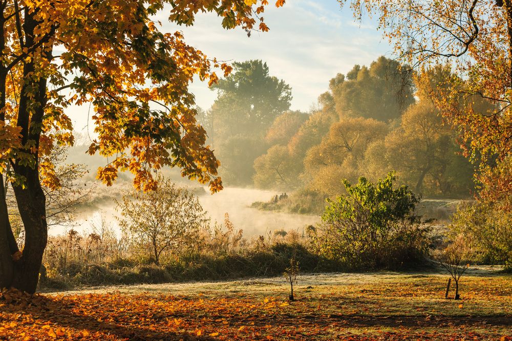 Photograph by SIARHEI RABCHONAK