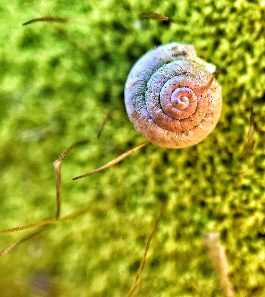 Photograph by Ирина Ивина