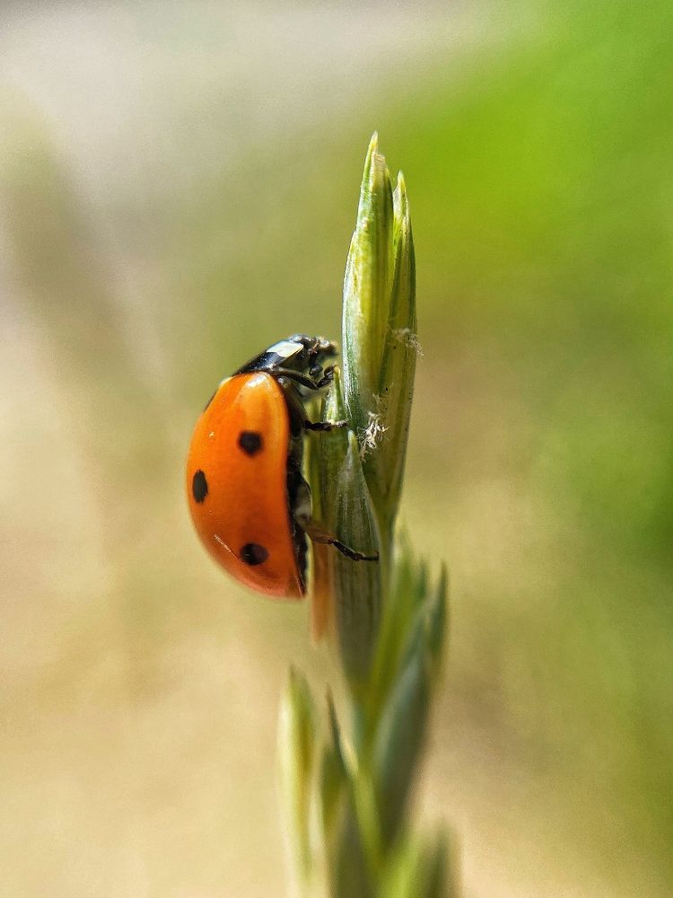 Photograph by Ирина Ивина