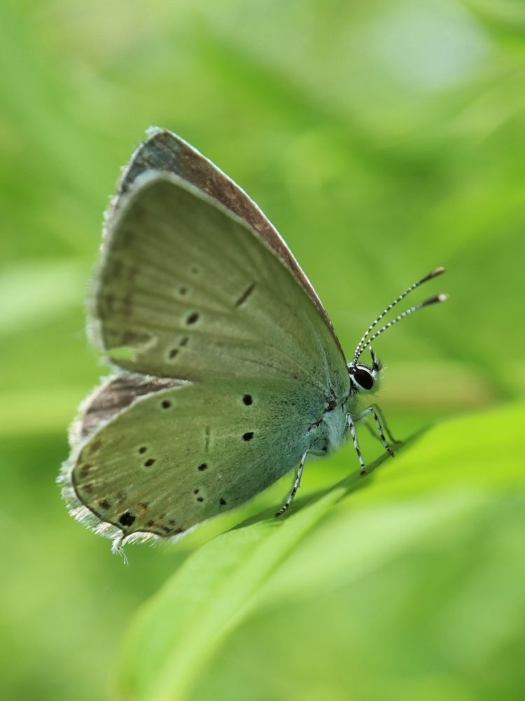 Photograph by Ирина Корабельникова