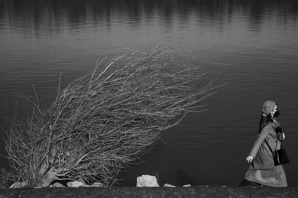 Photograph by Bojan Dzodan