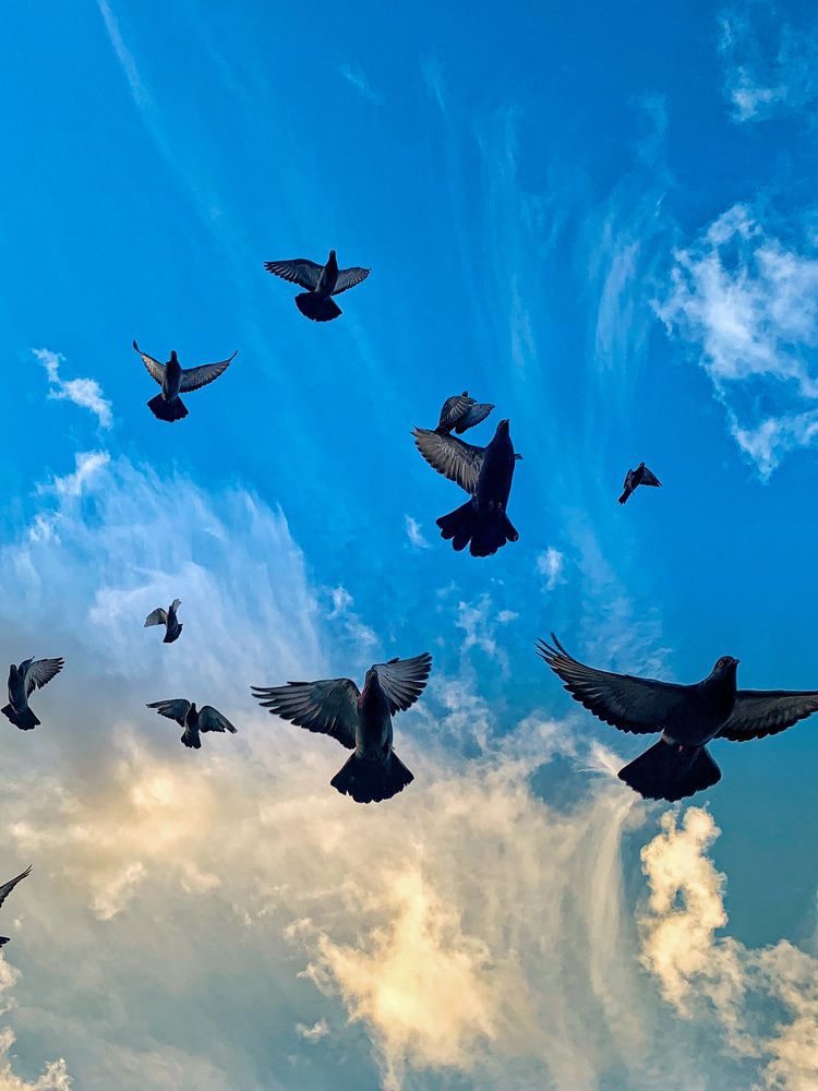 Photograph by Анна Белова