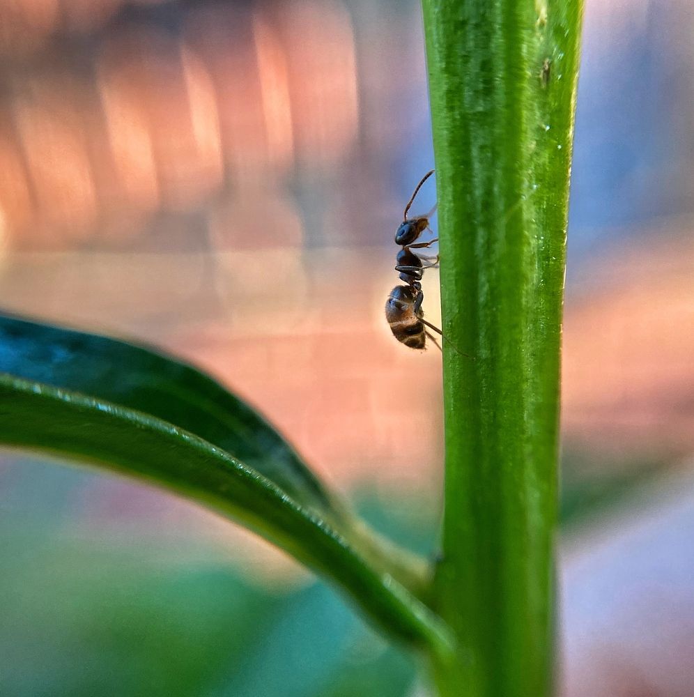 Photograph by Ирина Ивина