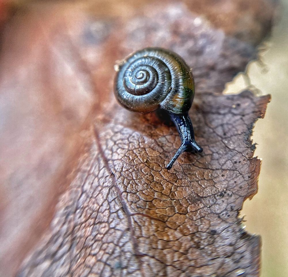 Photograph by Ирина Ивина