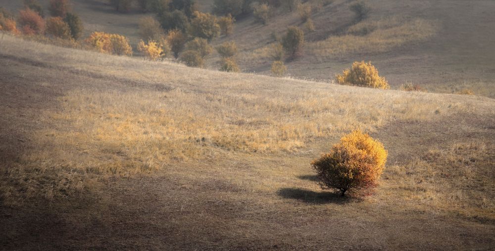 Photograph by Сергей Шиллинг