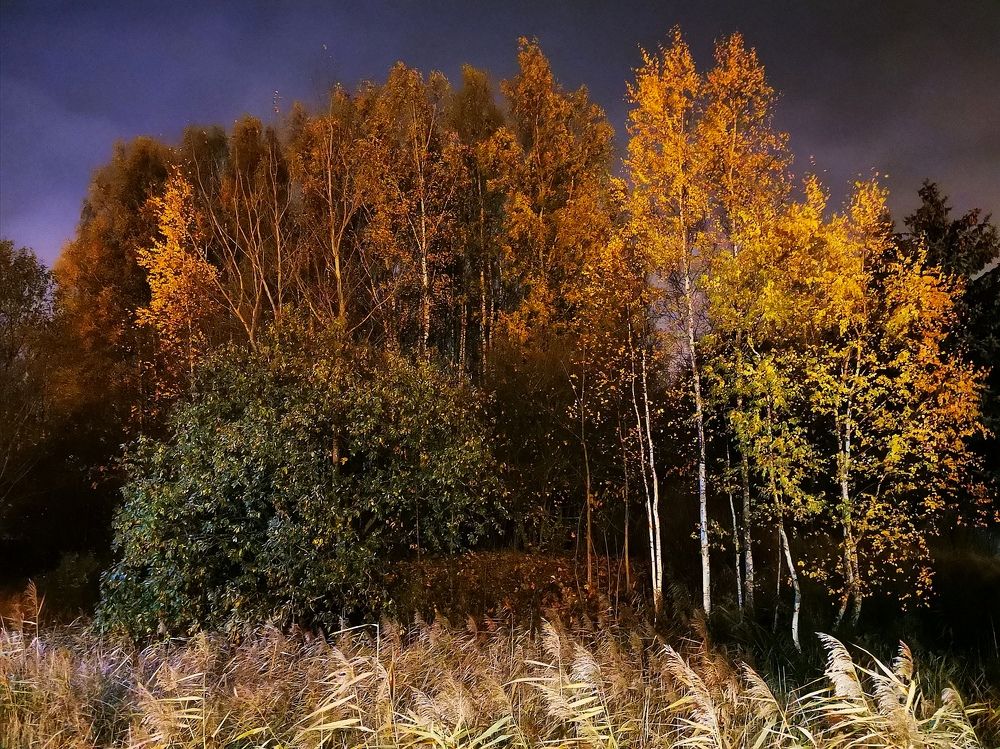 Autumn