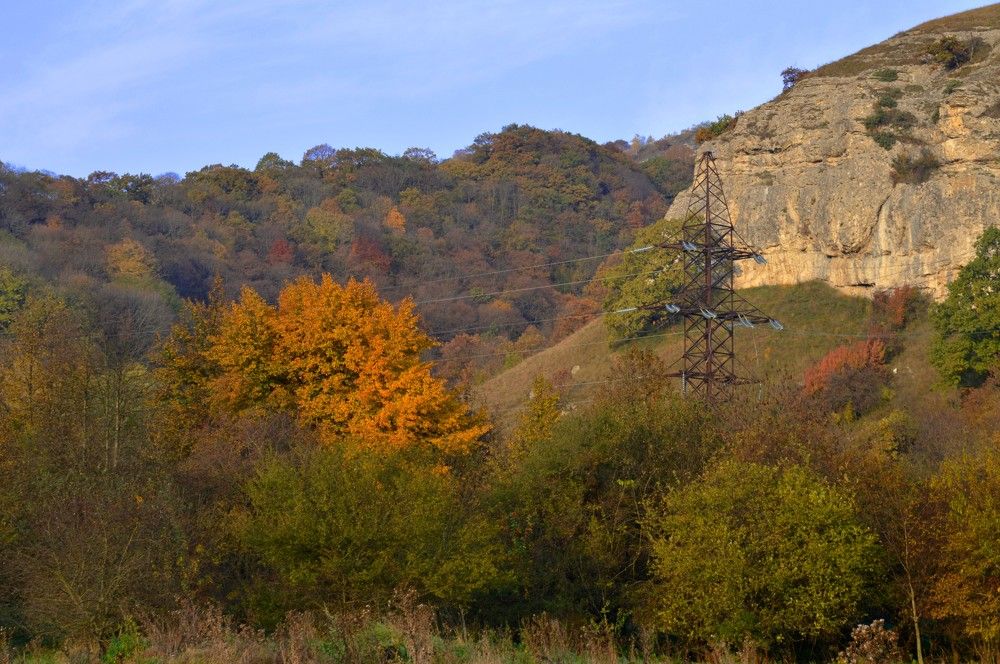 Photograph by Ольга Шевцова