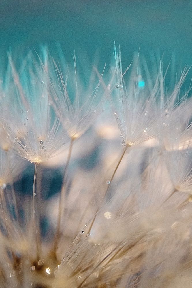 Photograph by Nadezda Zavitaeva