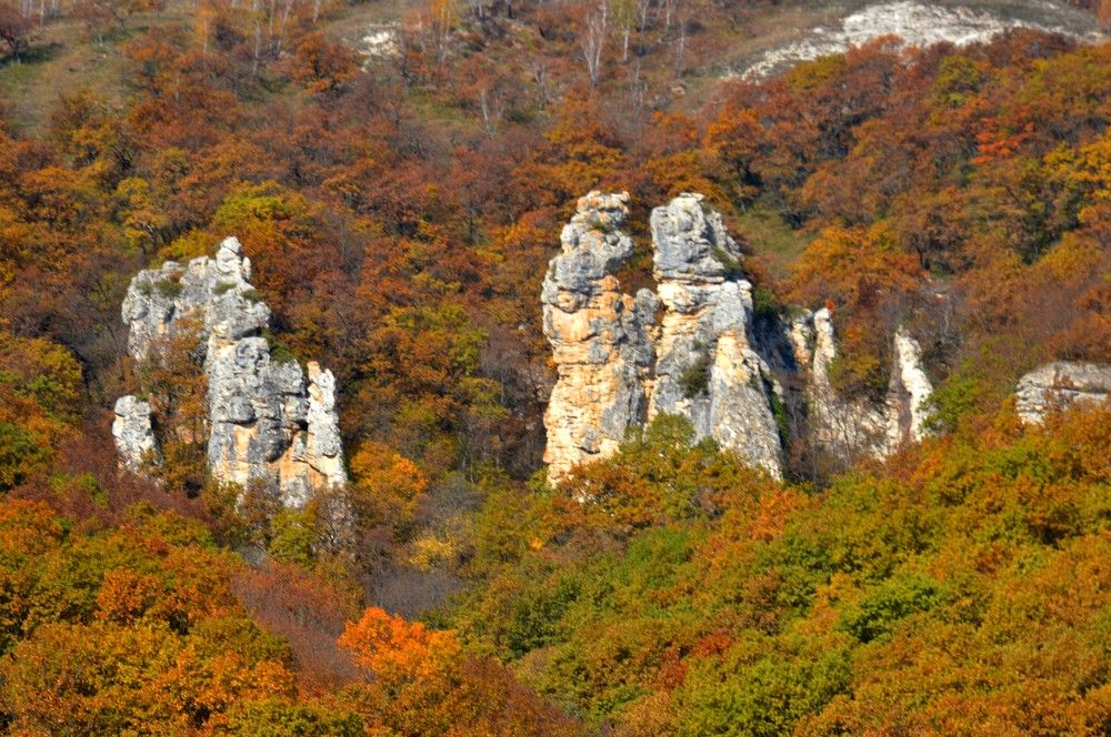 Photograph by Ольга Шевцова