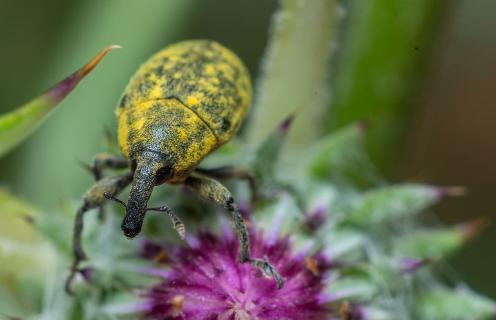 Photograph by Alaa Seif Eddine