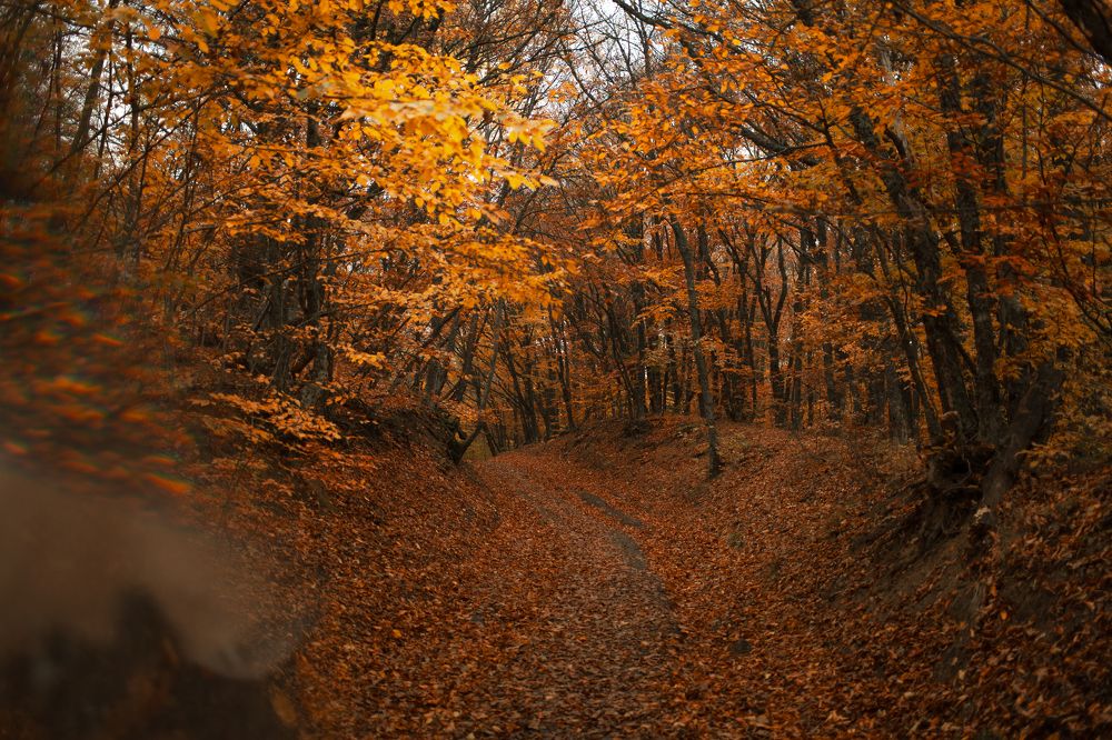 Photograph by Екатерина Щербакова