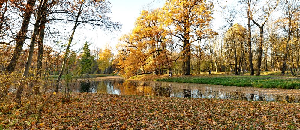 Photograph by Харис Шахмаметьев