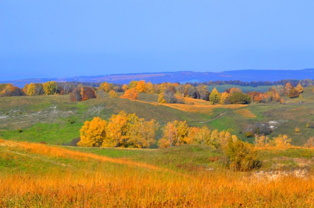 Photograph by Ольга Шевцова
