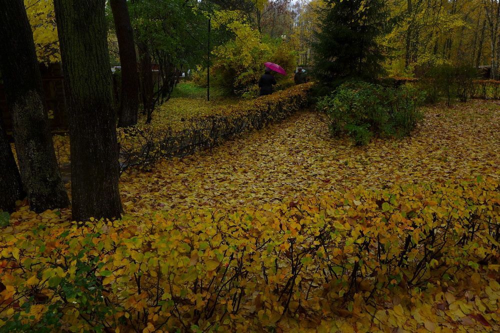 Photograph by Харис Шахмаметьев