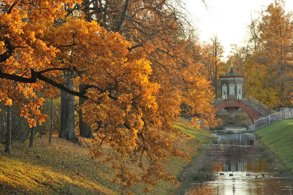 Photograph by Харис Шахмаметьев