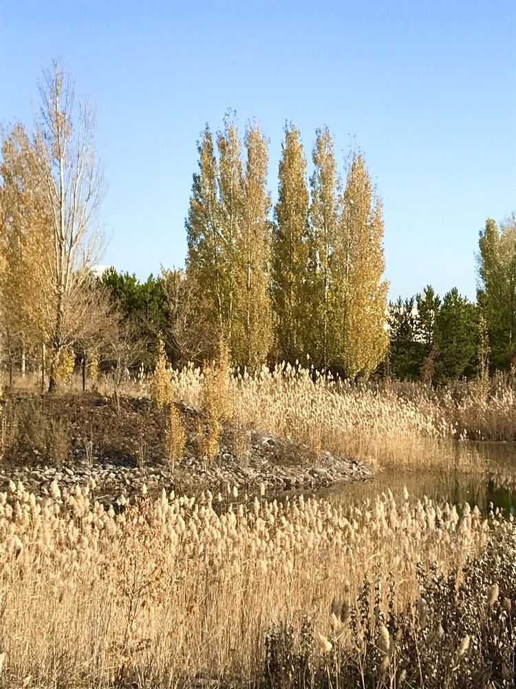 Photograph by Анар Амирова