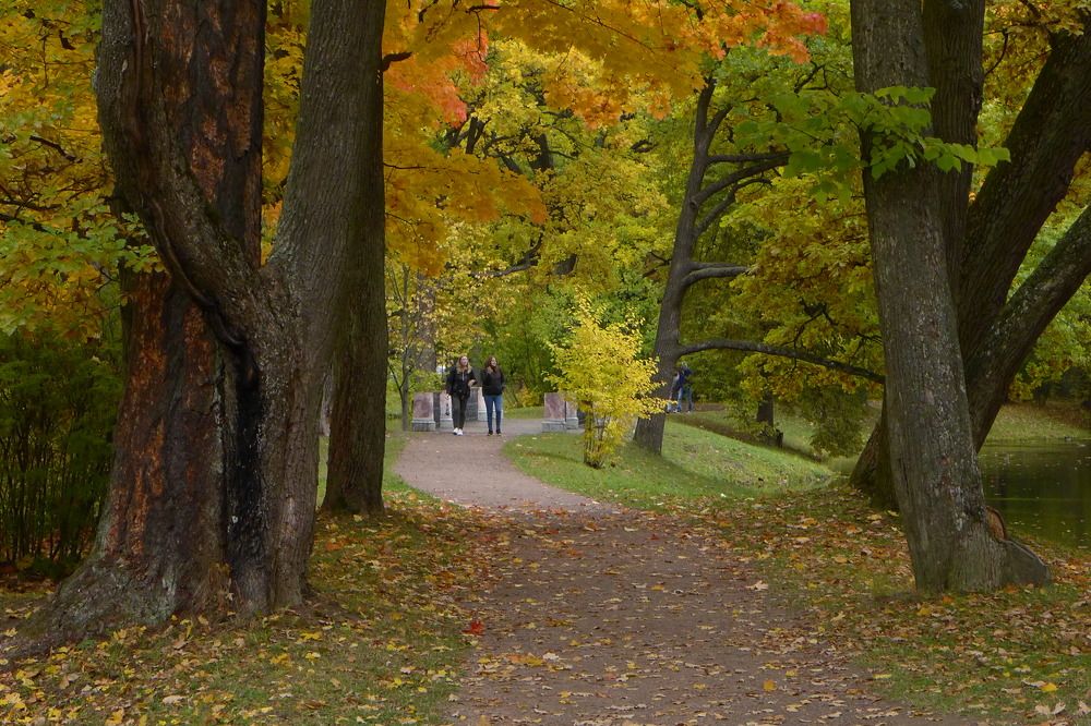 Photograph by Харис Шахмаметьев