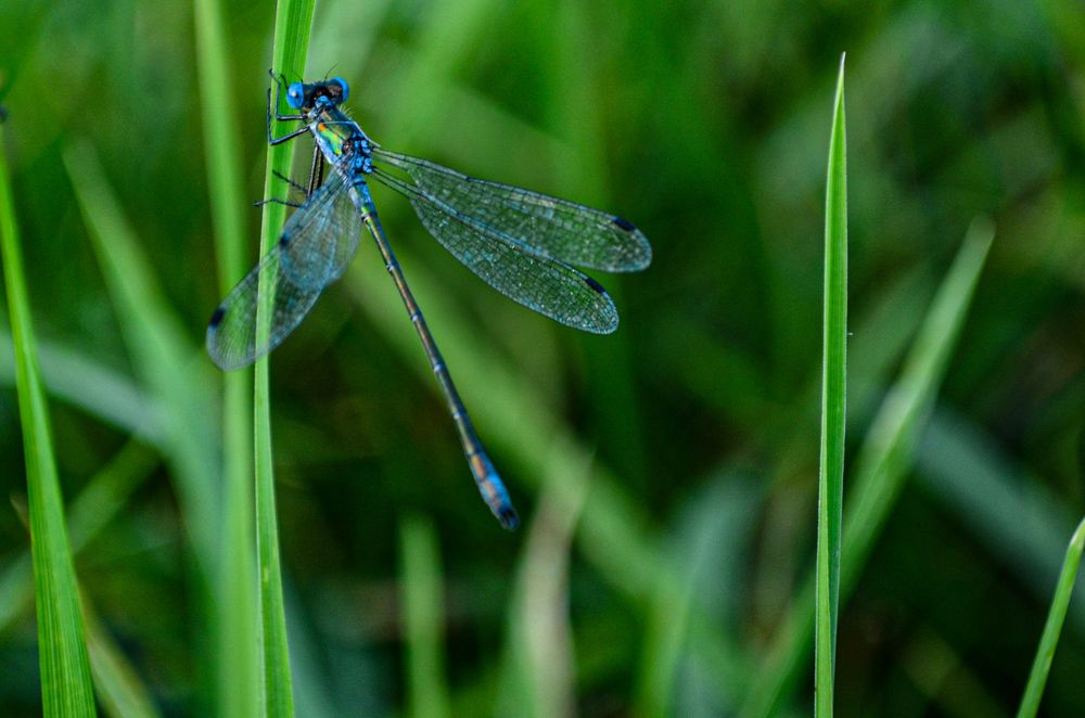 Photograph by Дарья Миронова