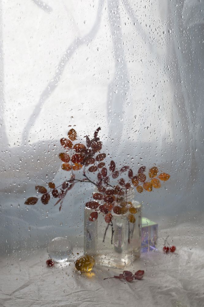 Фотография автора Марина Кулакова