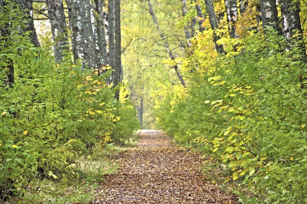 Photograph by Елена Щитова