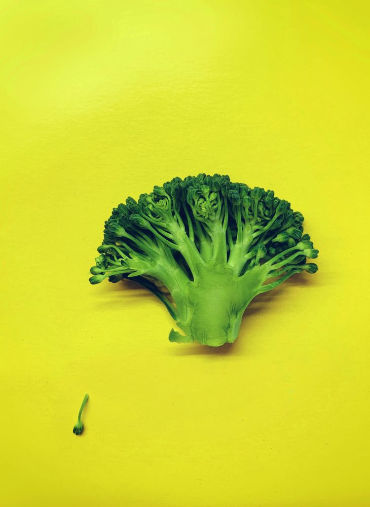 Photograph by Анна Белова