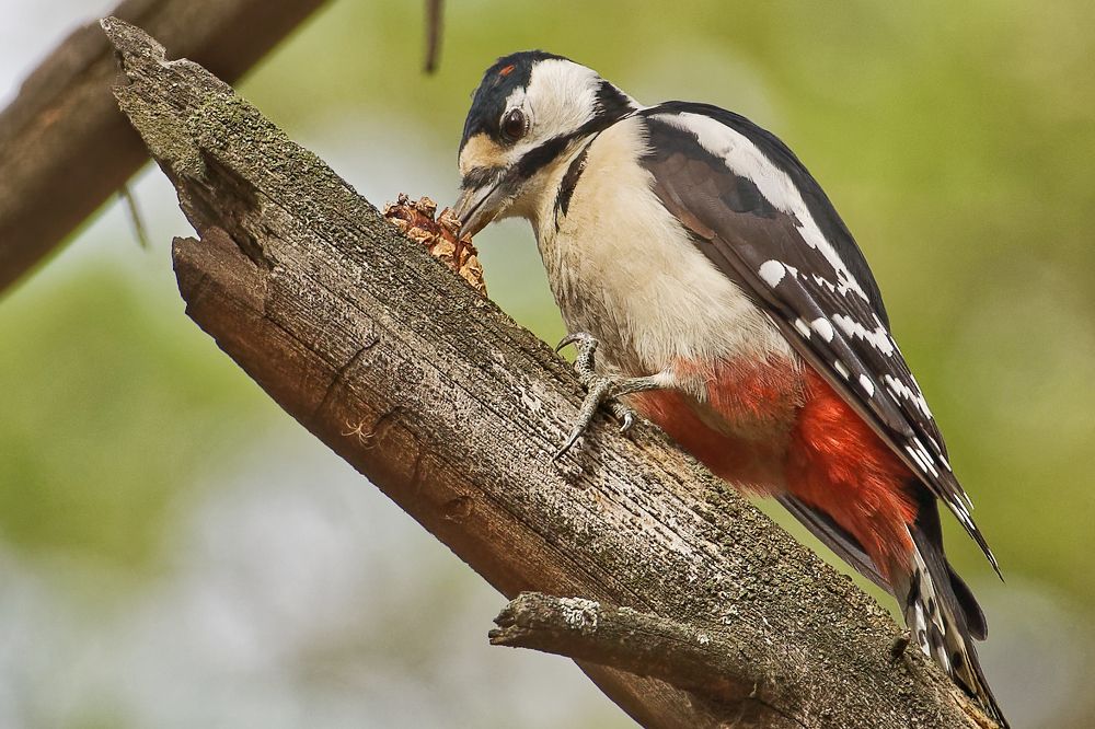 Photograph by  Alexey