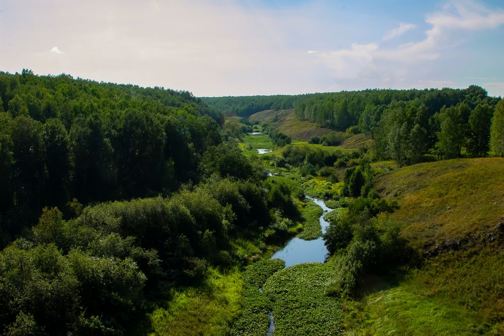 Photograph by Геннадий Федоров