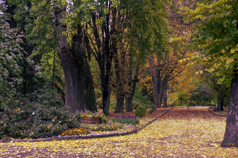 Photograph by Александр Белоус