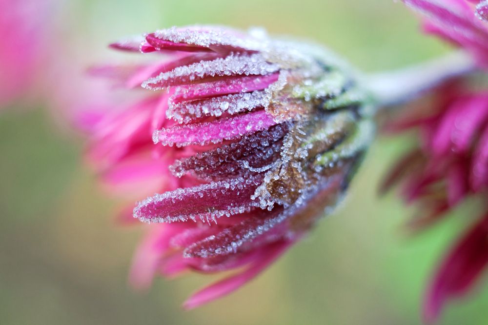 Photograph by Юлия Гаранина