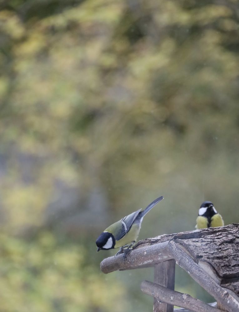 Photograph by Aleksejs Skripko